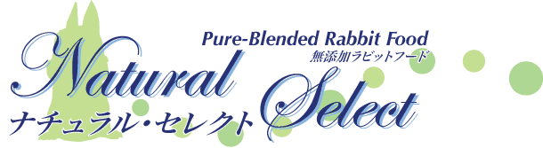 �ʥ����롦���쥯�ȤΥ���