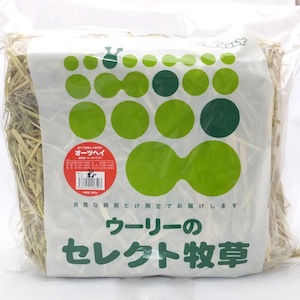 B025 �����꡼�Υ��쥯�����𡡥����ĥإ��μ̿�