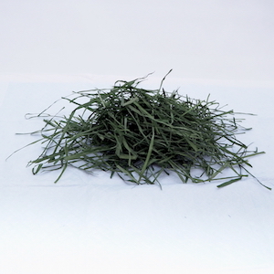 B049 ���Ȥ����𡡥����ꥢ��饤���饹�μ̿�