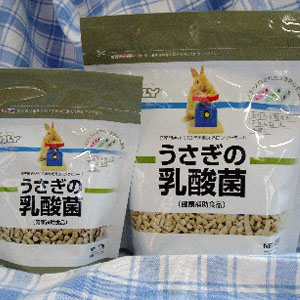 C003 �������������ݤμ̿�