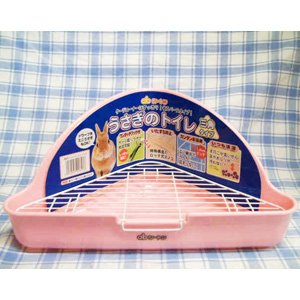 F001 �������Υȥ��� ���ѥ����פμ̿�