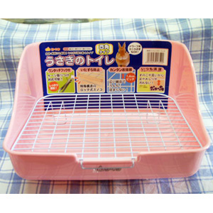 F010 �������Υȥ��� �ͳѥ����פμ̿�