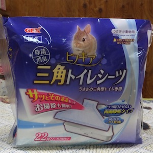 F019 ���ѥȥ��쥷���Ĥμ̿�