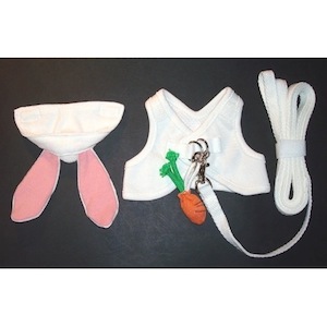 J002 �������ϡ��ͥ��μ̿�