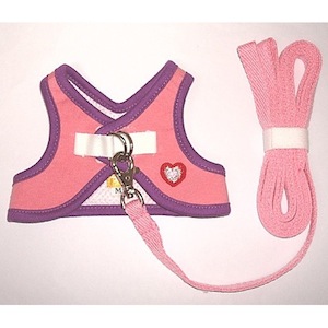 J004 ���饭��ϡ��Ȥμ̿�