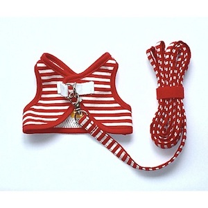 J008 �ޥ���åɤμ̿�