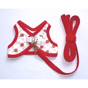 J009 �������μ̿�