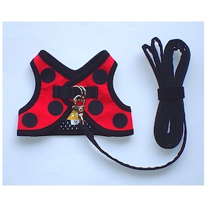 J010 �Ƥ�Ȥ���μ̿�