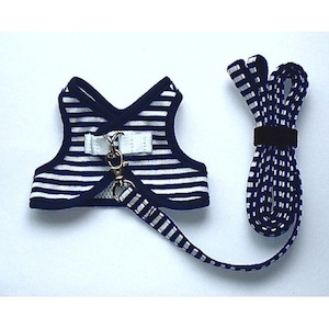 J013 �ޥ��ͥ��ӡ��μ̿�